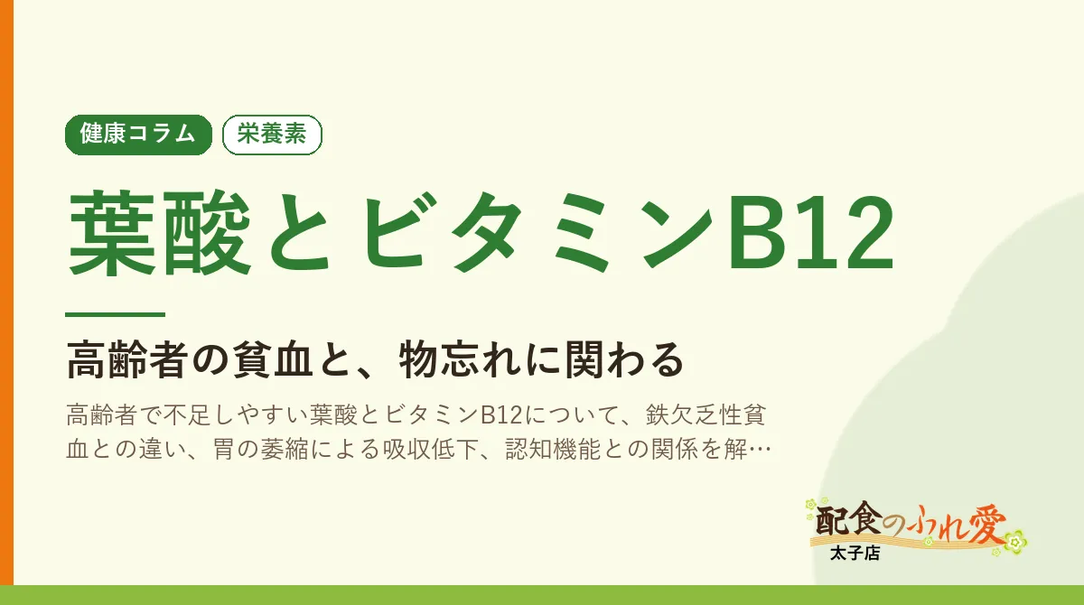 葉酸とビタミンB12